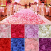 2000pcs Silk Rose Petals - The Suggestion Store