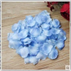 2000pcs Silk Rose Petals - The Suggestion Store