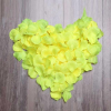 2000pcs Silk Rose Petals - The Suggestion Store