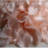 2000pcs Silk Rose Petals - The Suggestion Store