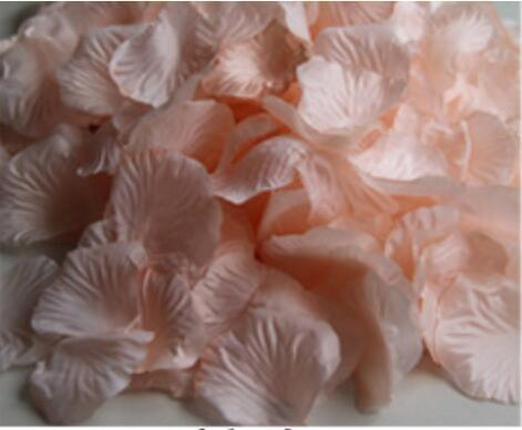2000pcs Silk Rose Petals - The Suggestion Store